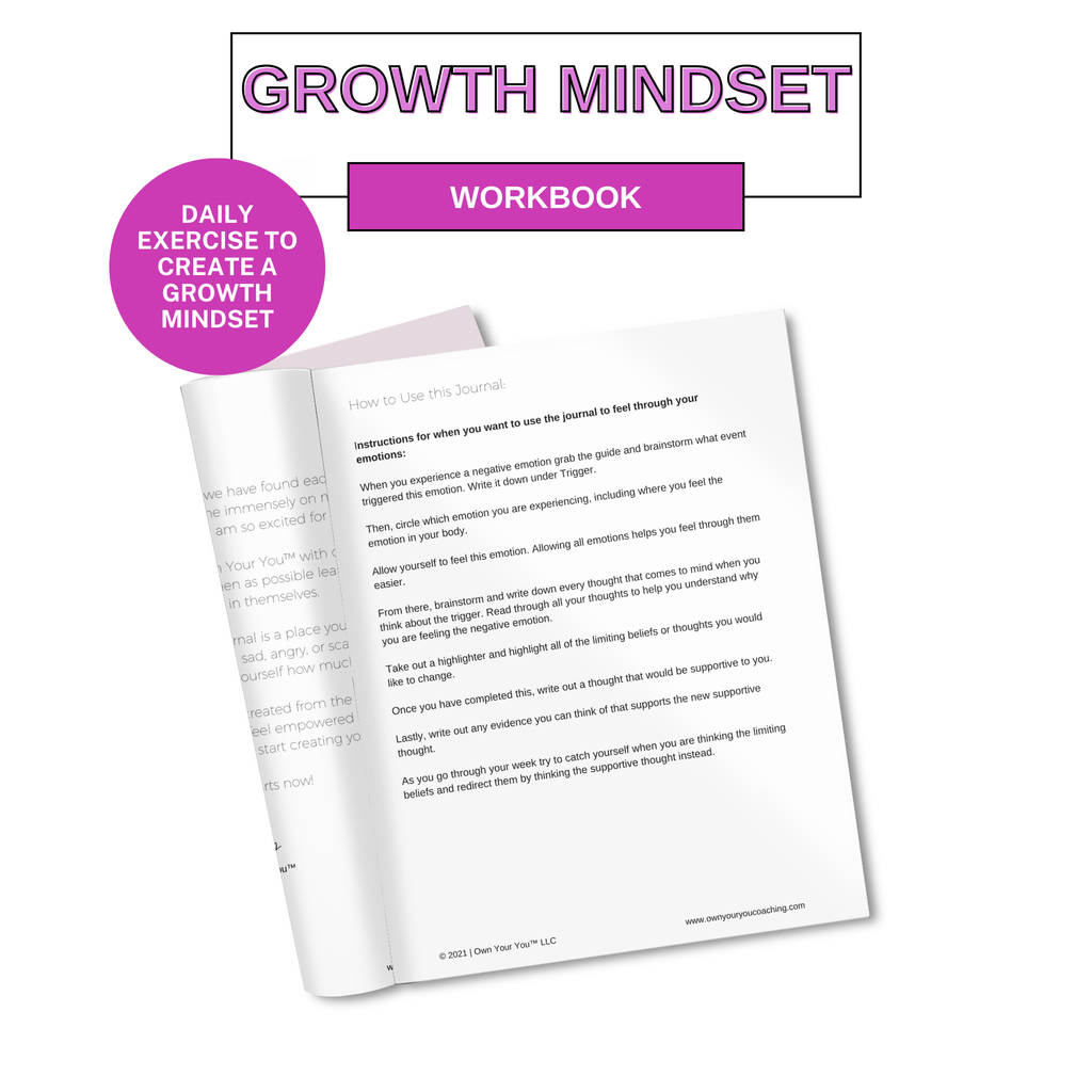 Own Your Mindset Journal