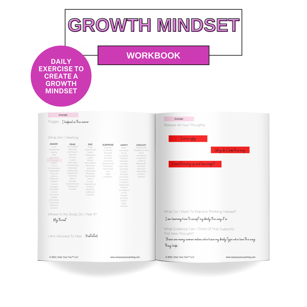 Own Your Mindset Journal